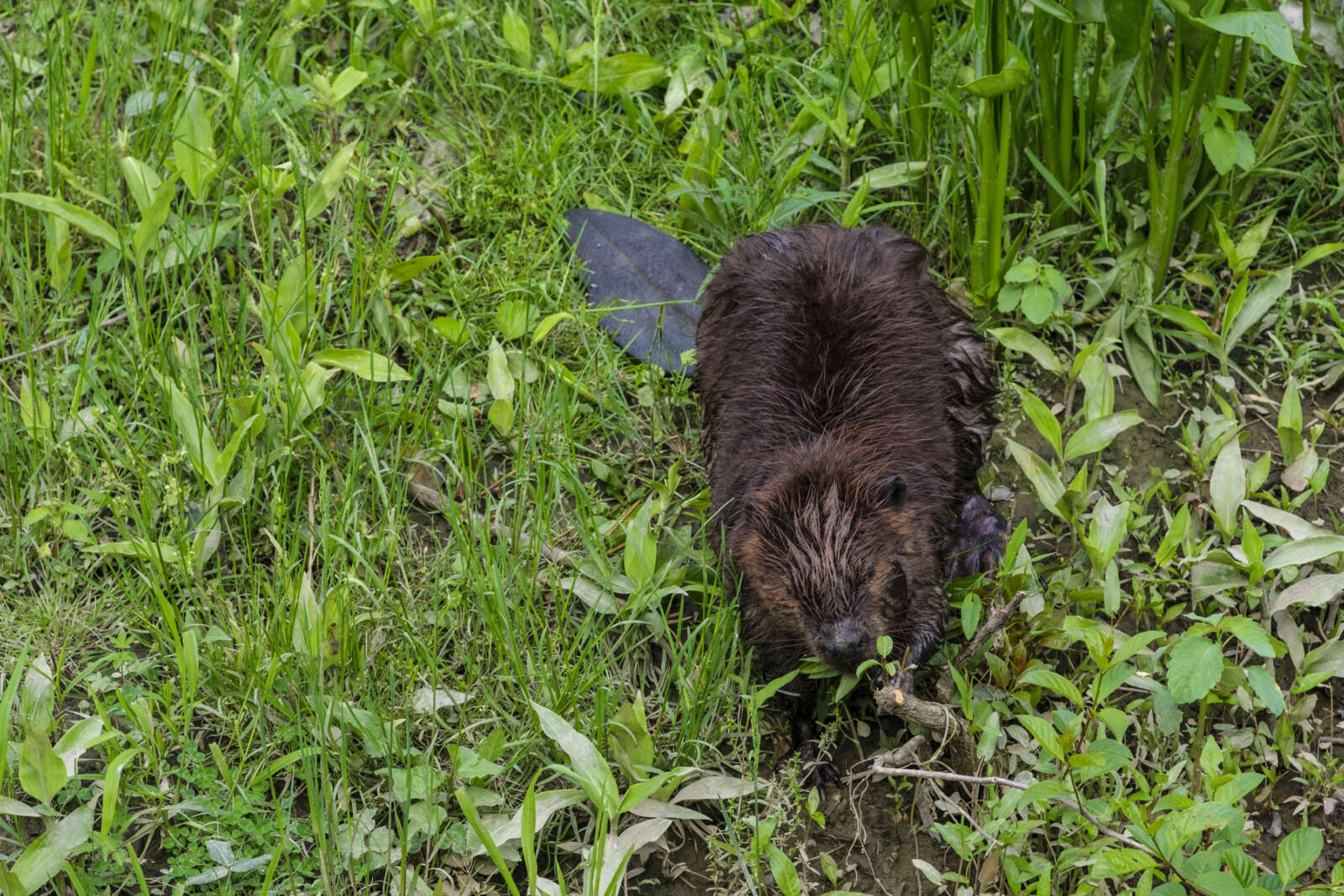 Morning Notes FFXnow