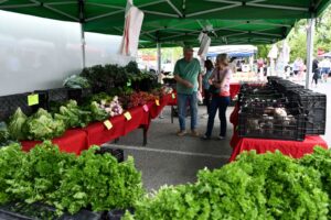 Vienna Farmers Market returns tomorrow with native plant sale | FFXnow