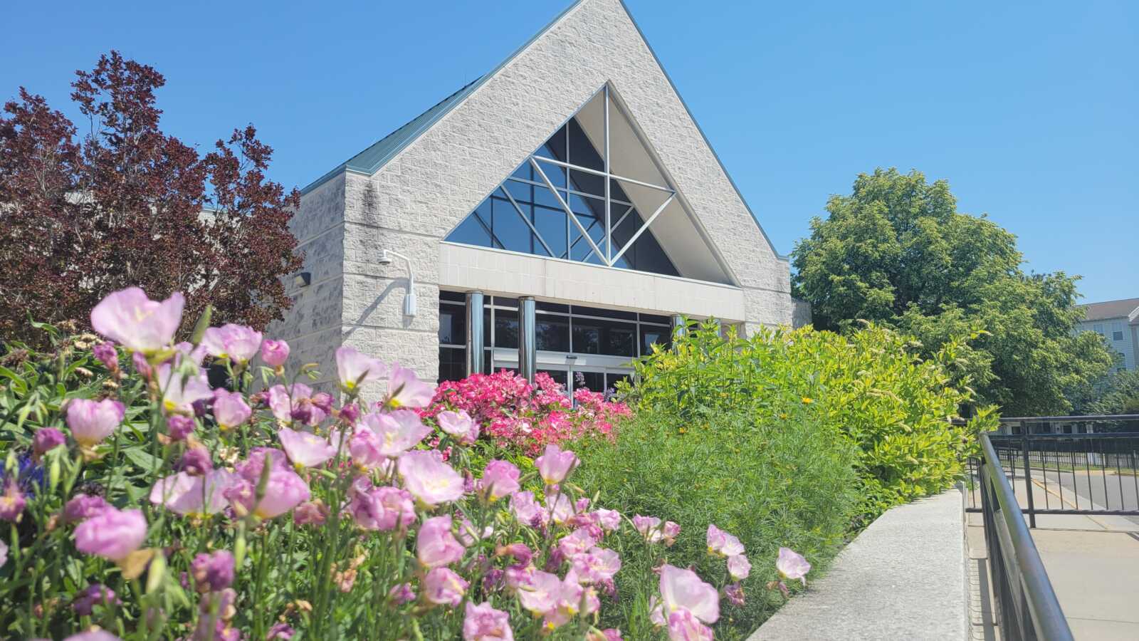 Pink flowers and green bushes in front of a stone library with glass windows