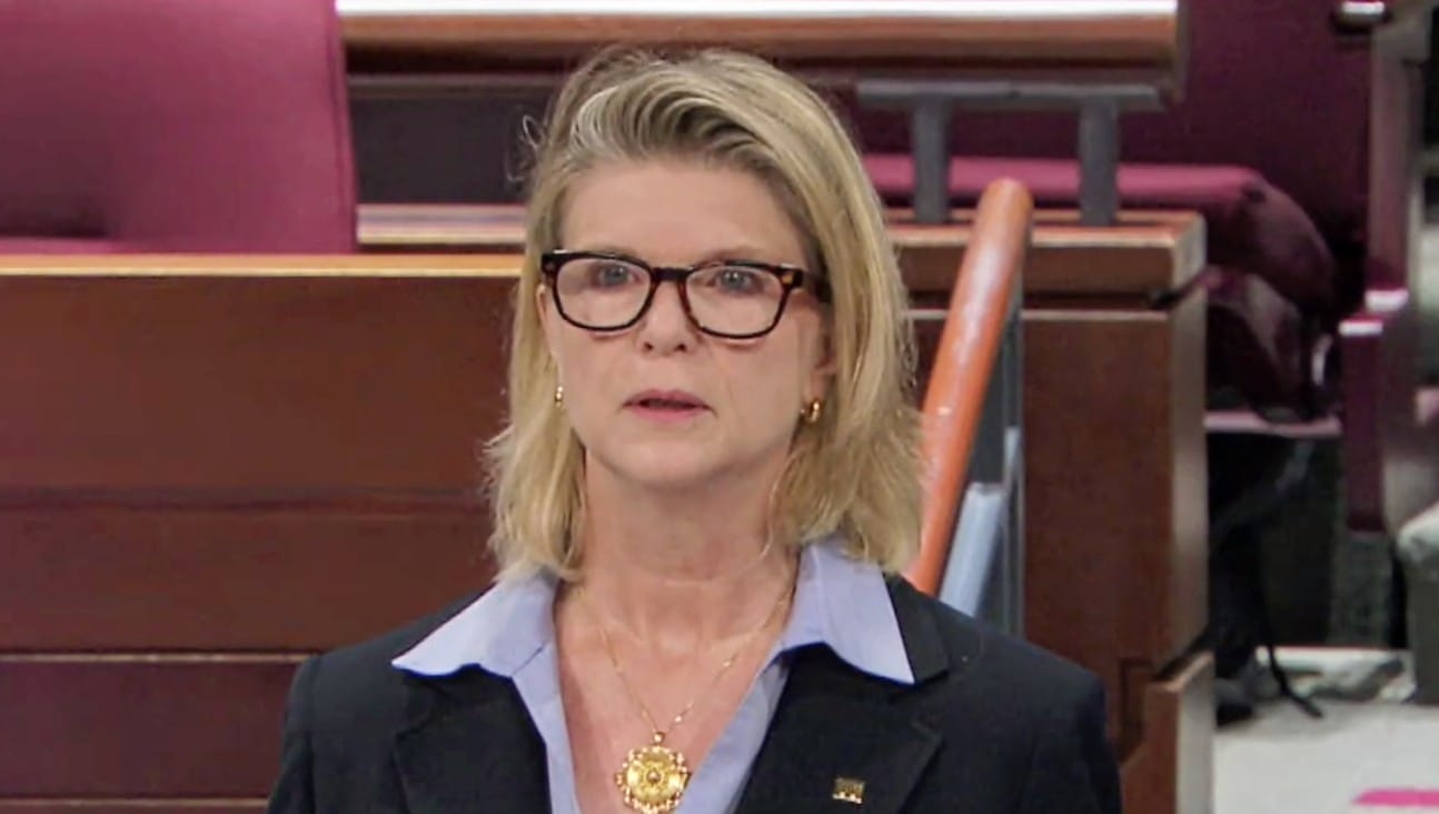 Fairfax Water's Jamie Bain Hedges speaks to county supervisors (screenshot via Fairfax County) | FFXnow Blonde woman with glasses in a blazer standing in a legislative chamber.