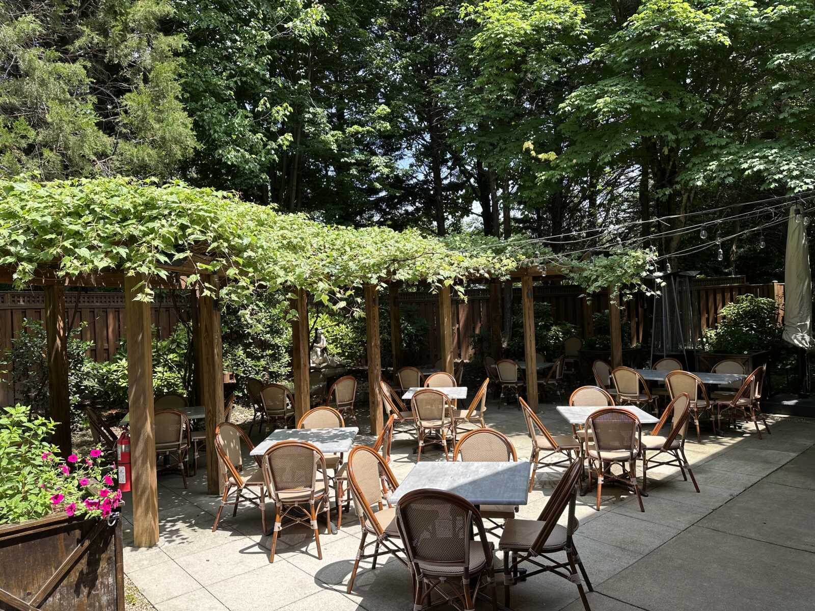 Outdoor cafe patio with many tables and brown chairs under a wooden pergola covered in green vines
