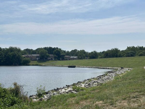 Lakeside scene with a grassy slope, rocky shoreline, and houses in the distance under a blue sky.
