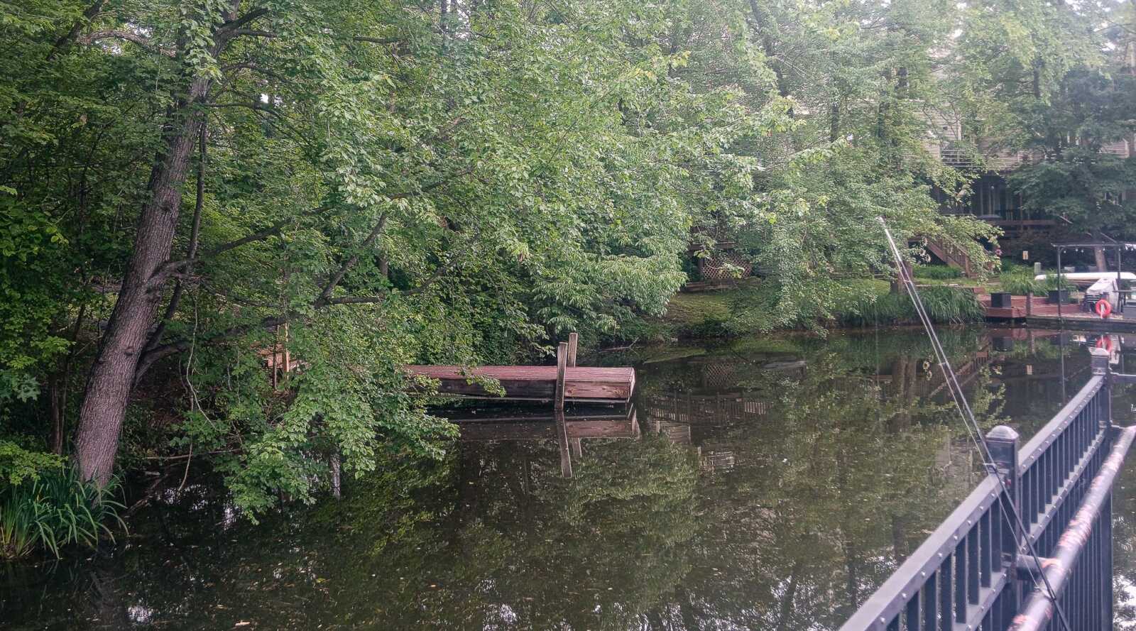 Calm pond with lush green trees, a small wooden dock extending into the water, and a railing along a walkway in the foreground.