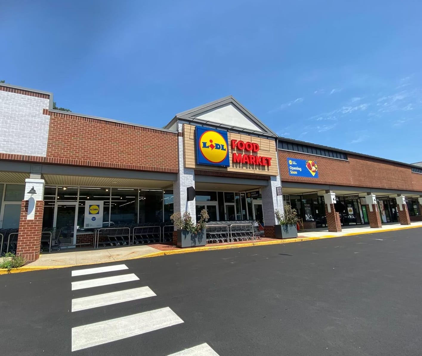 Lidl Food Market storefront with blue-yellow sign and red 'FOOD MARKET' lettering, shopping carts outside under a blue sky.