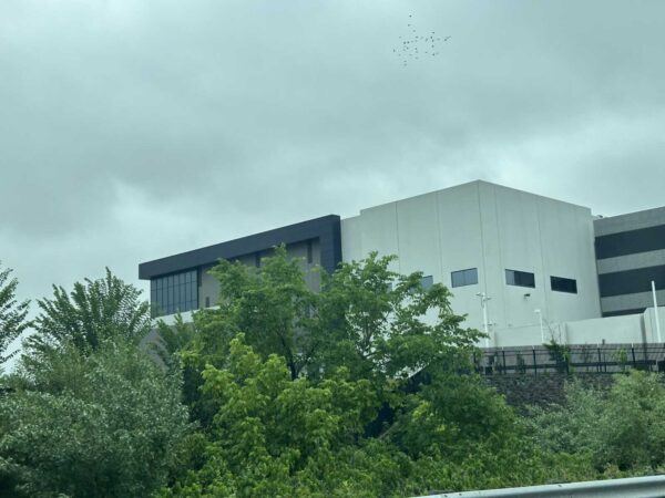 Modern white and dark-gray office building behind green trees under a cloudy sky, with a small flock of birds overhead.