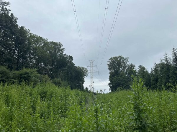 Transmission tower and power lines run through a grassy field, with dense trees on both sides under a cloudy sky.