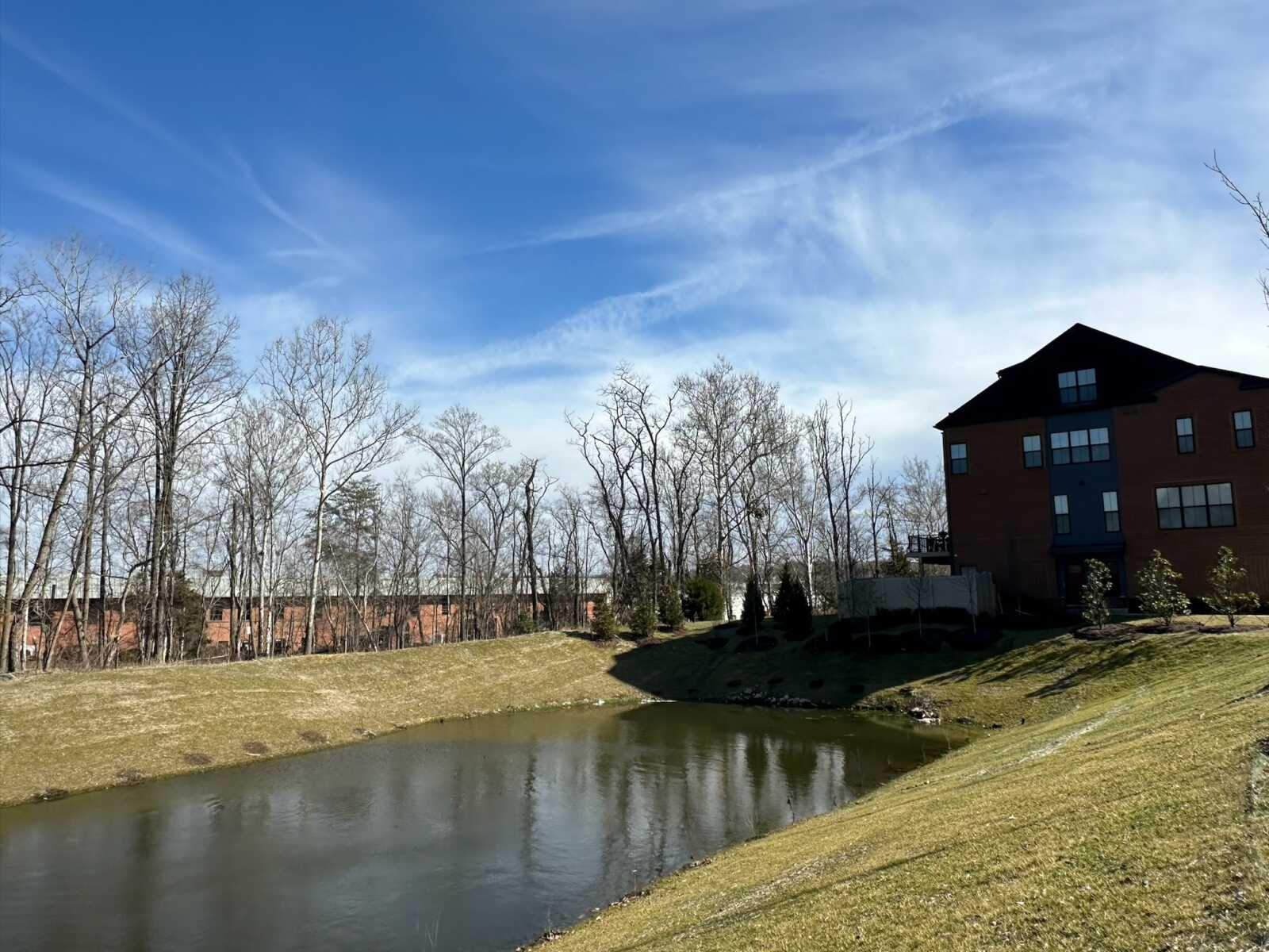 Pond with grassy banks, leafless trees, and a brick residential building to the right under a clear blue sky with wispy clouds.