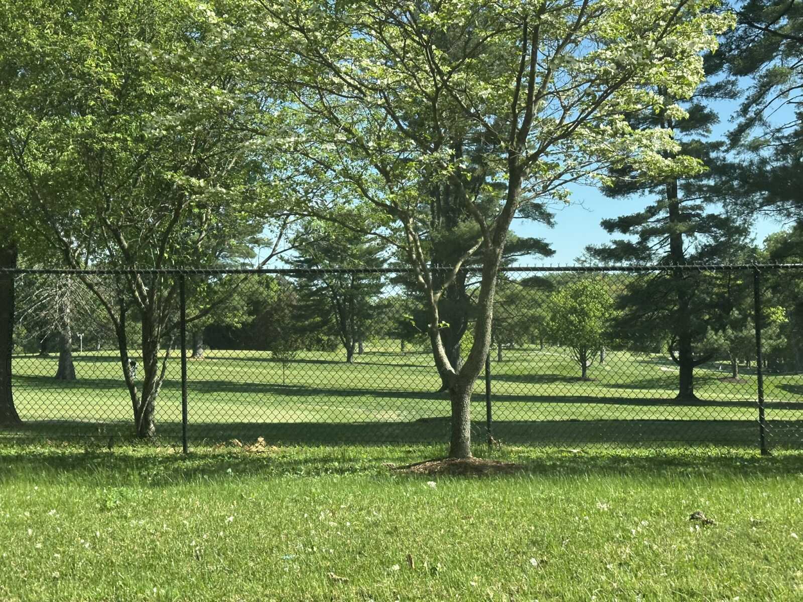 Park scene with green grass, trees, and a chain-link fence in the foreground under a clear blue sky.