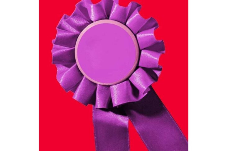 Purple satin rosette ribbon with a circular center on a red background, resembling an award ribbon used for recognition.