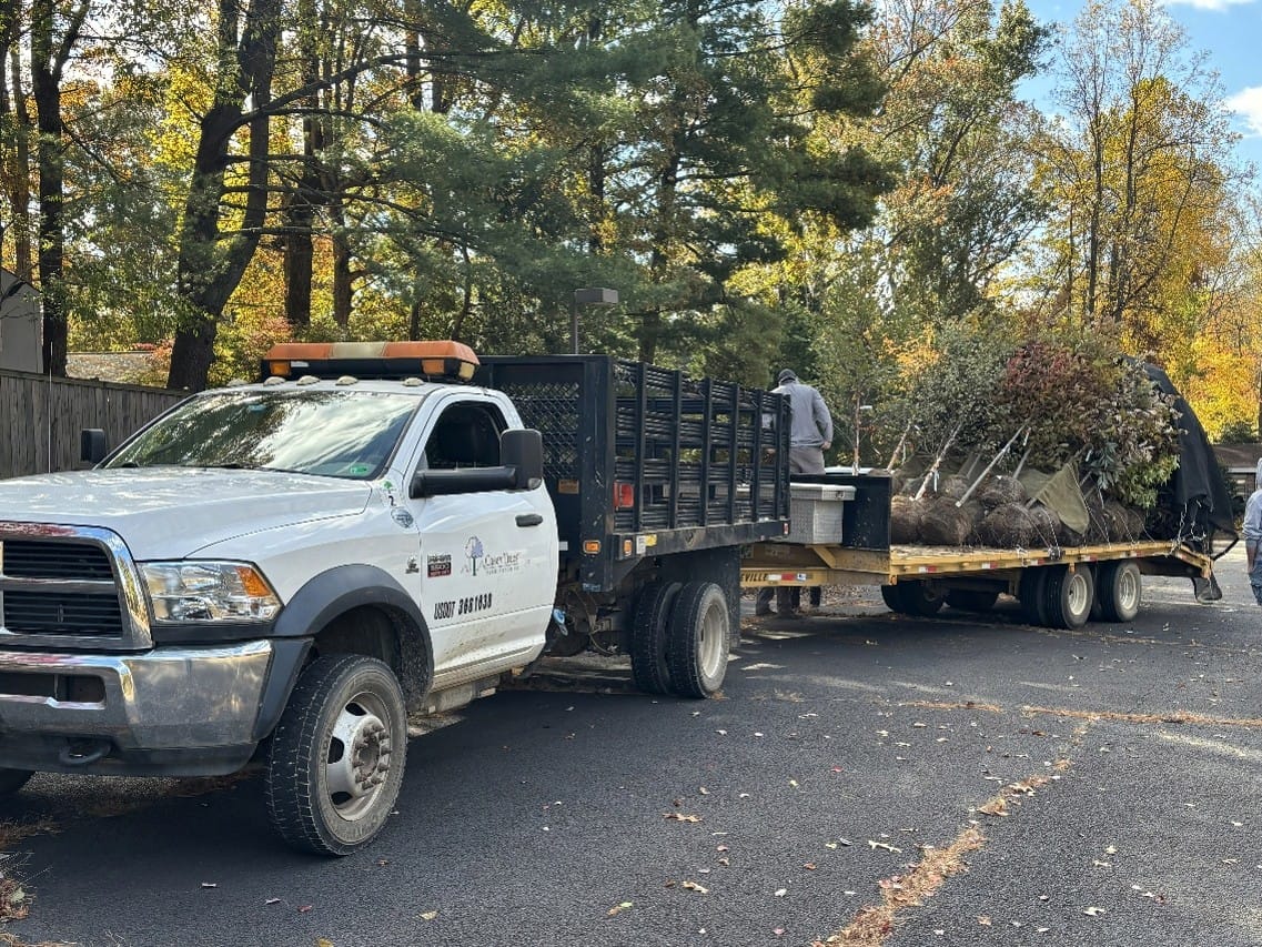 Casey Trees delivers free trees to the Sideburn Run Recreation Association in fall 2025 (courtesy Casey Trees) | FFXnow White service truck with orange beacon pulling a flatbed trailer loaded with large potted trees on a suburban street; autumn foliage in the background.
