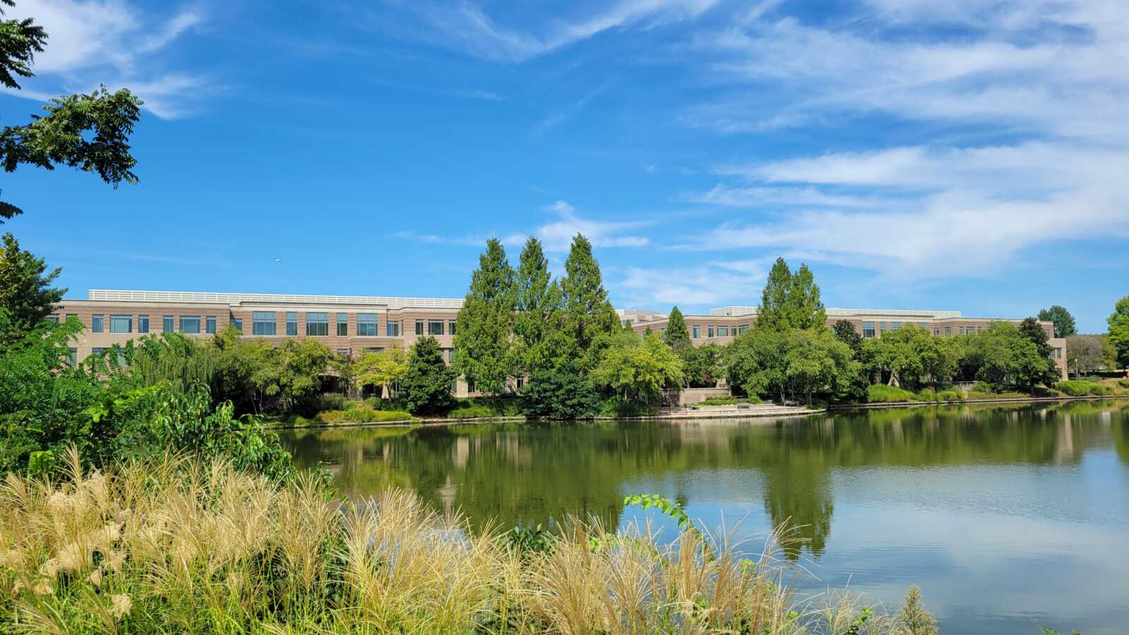 Campus building beside a calm lake, with trees and greenery under a bright blue sky.