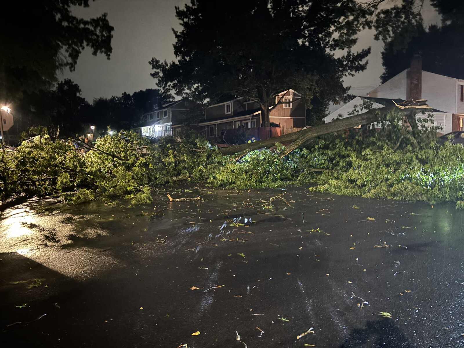 Nighttime street scene with a large fallen tree blocking the road after a storm; wet pavement and scattered debris; houses in the background.