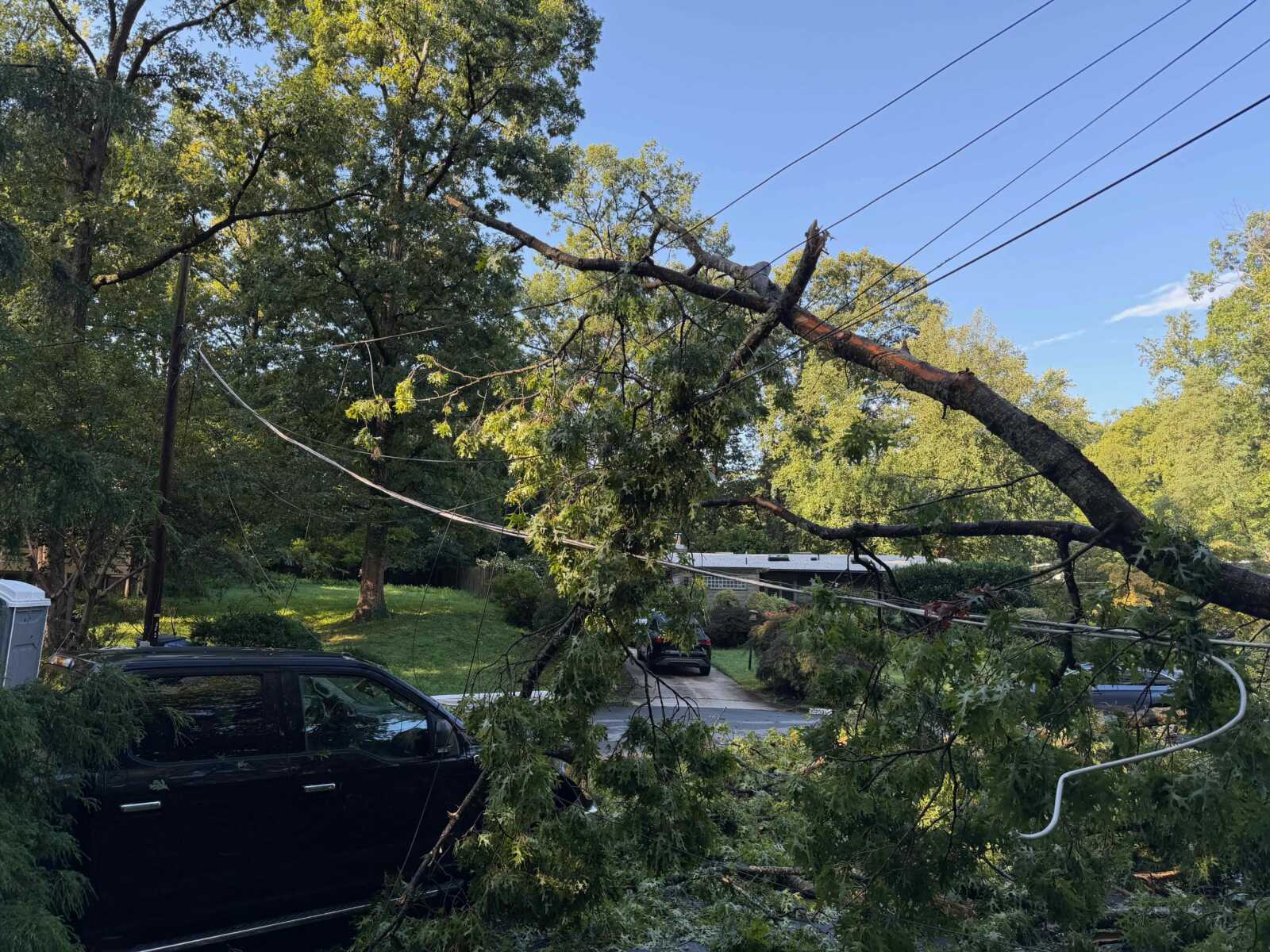 Large tree branch fallen onto power lines and a carport, blocking a residential street; utility cables tangled among leaves and debris.