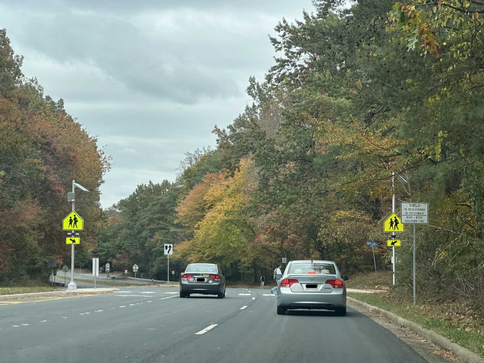 A pedestrian crossing on South Lakes Drive in Reston near South Lakes High School (staff photo by Angela Woolsey) | FFXnow Two-lane road lined with autumn-colored trees, cars stopped at a crosswalk, bright pedestrian signs visible on both sides