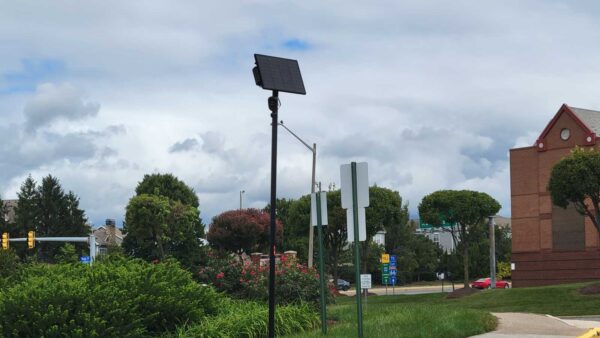 Solar-powered street light with a tilted solar panel on a tall black pole amid greenery and a sidewalk.