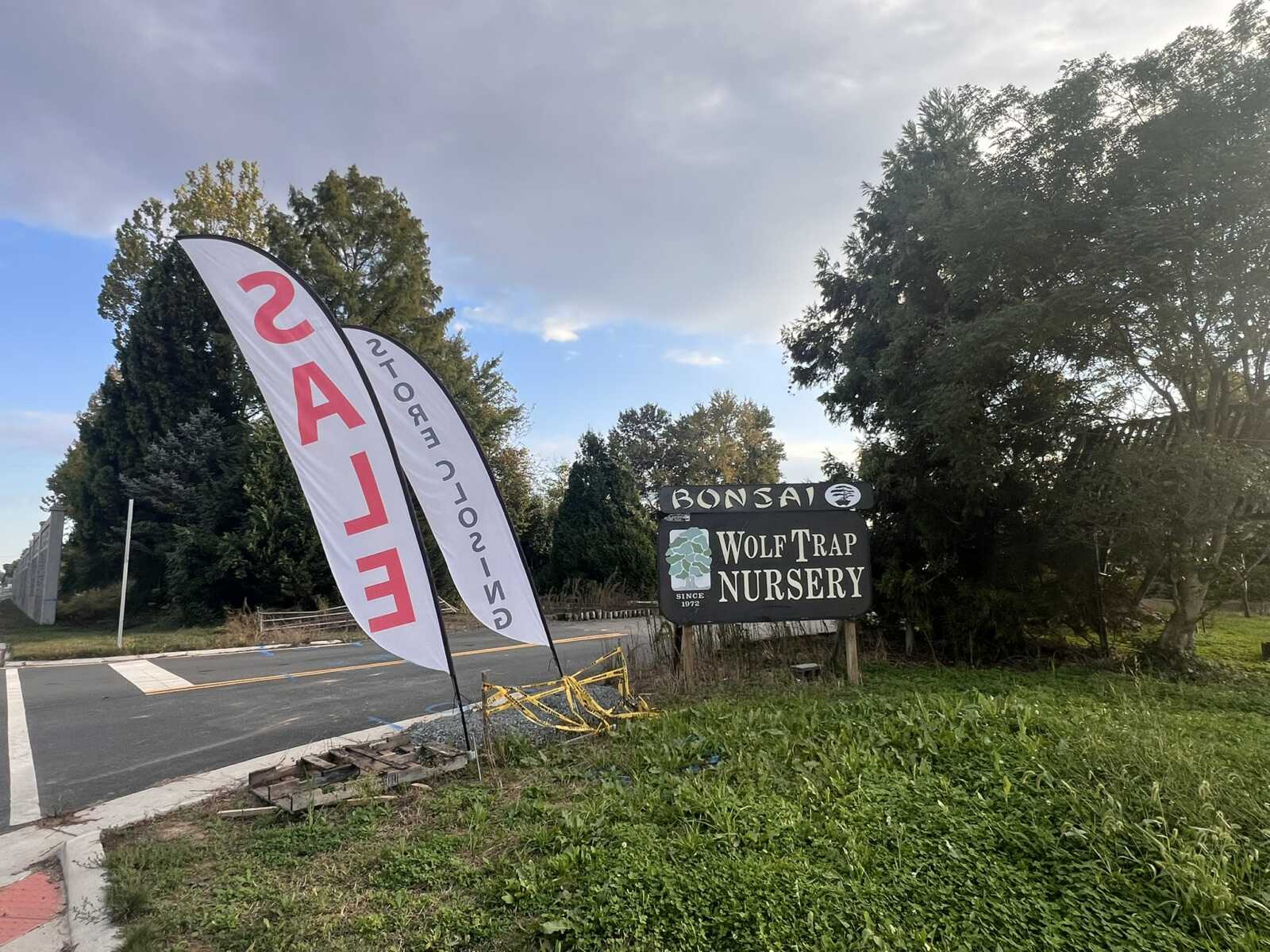 Roadside scene with tall white SALE banners next to a dark sign that reads Wolf Trap Nursery and Bonsai, near trees and a paved road edge.