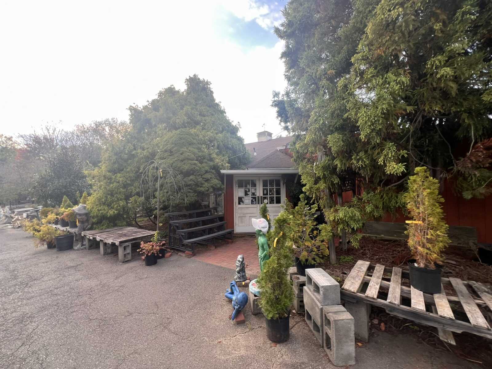 Garden display with potted plants, wooden benches, and a small white shed among trees in a yard.