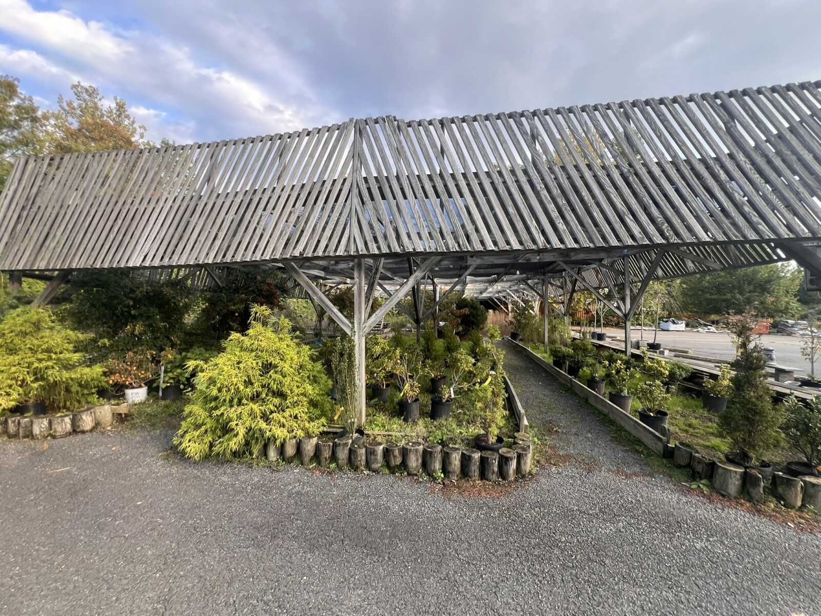Wooden slatted pergola over a plant nursery with potted shrubs and a gravel path beneath.