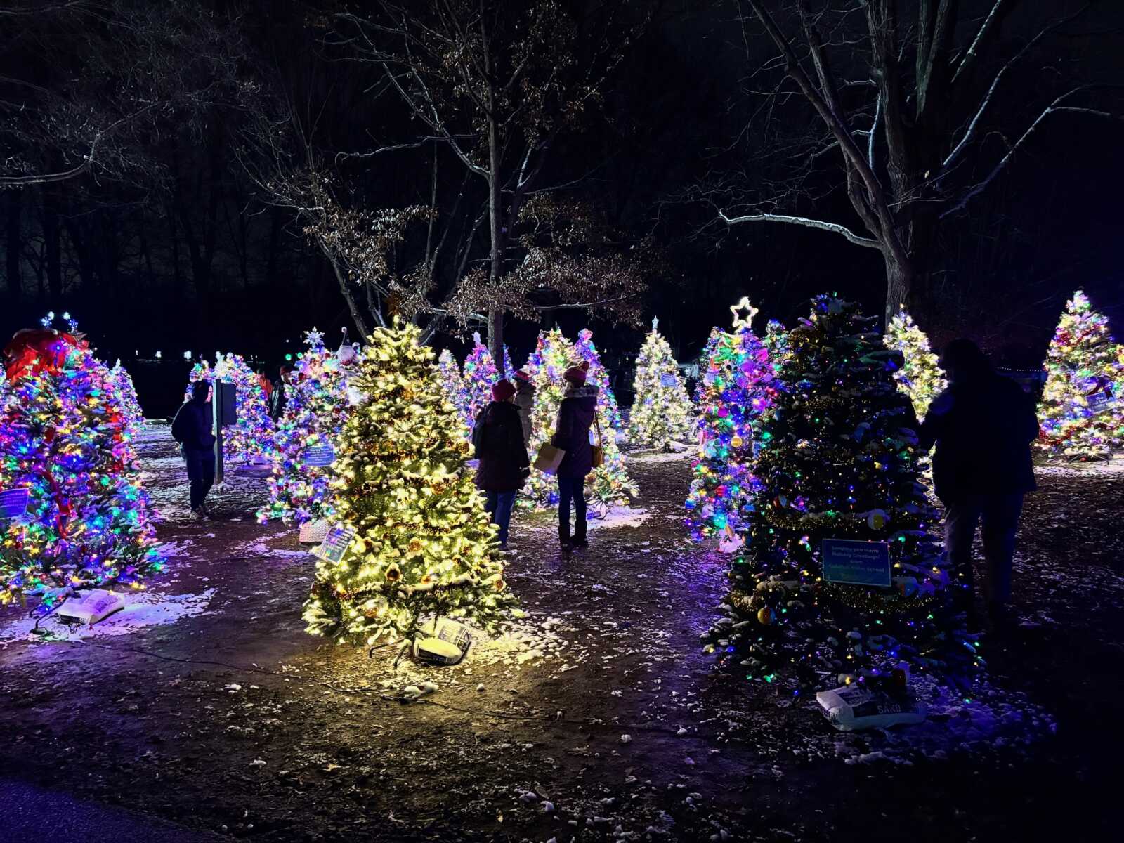 Visitors take in the Enchanted Forest at Reston Association's 2025 Winterfest (courtesy Reston Association) | FFXnow Nighttime outdoor Christmas tree display with colorful lights; visitors stroll among illuminated trees.