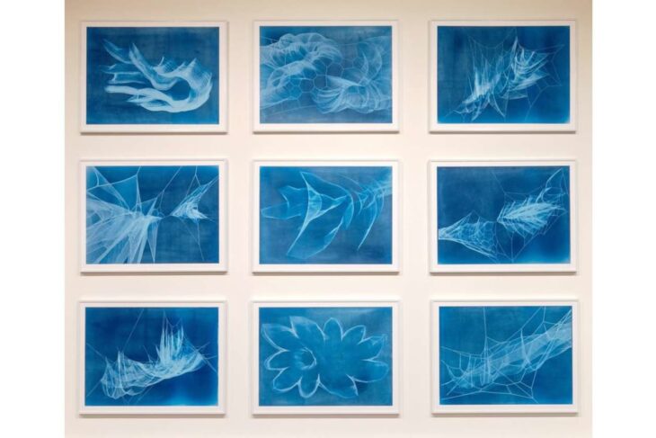Nine blue abstract prints in white frames arranged in a 3x3 grid on a light gallery wall.