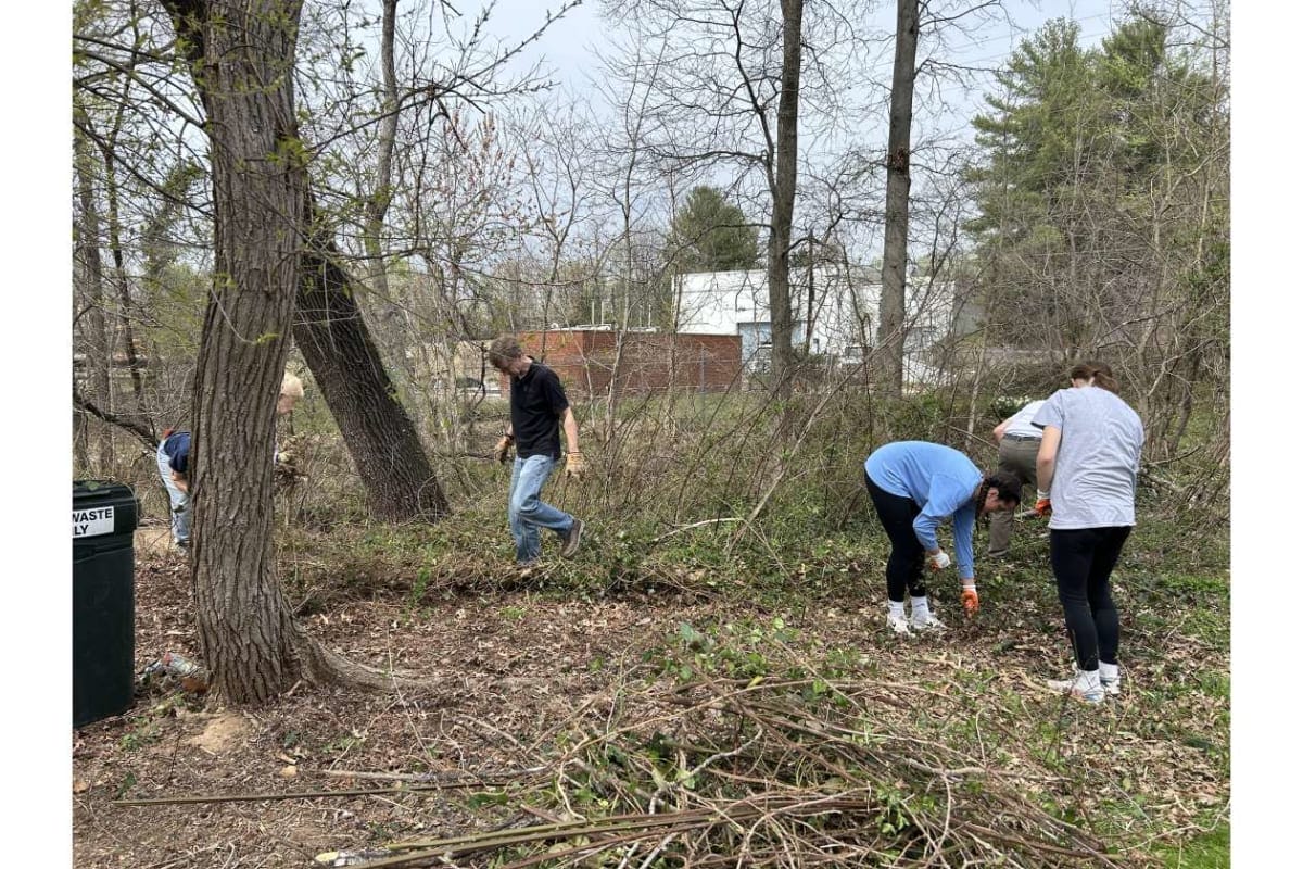 Group of people cleaning up a wooded area, picking up branches and debris with gloves on.