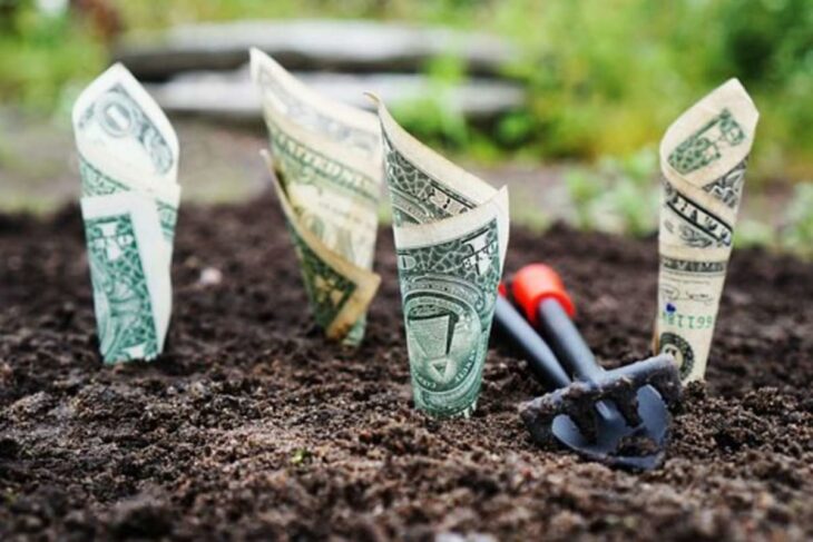 Money plants growing in soil with a small trowel, symbolizing financial growth or investment gardening.