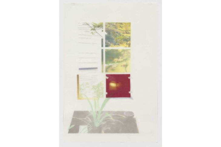 Wall-mounted collage of small photos and papers arranged in a vertical grid, with a green plant illustration at the bottom