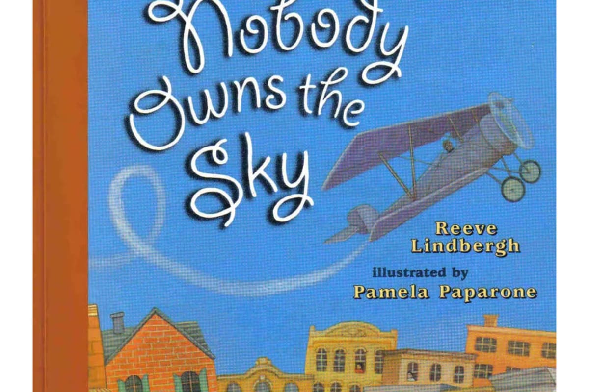 Book cover for 'Nobody Owns the Sky' showing a blue sky, a purple biplane, and a row of colorful buildings; authored by Reeve Lindbergh and illustrated by Pamela Paparone.